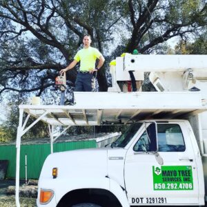 Tree Service